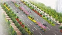 312國(guó)道綠化工程